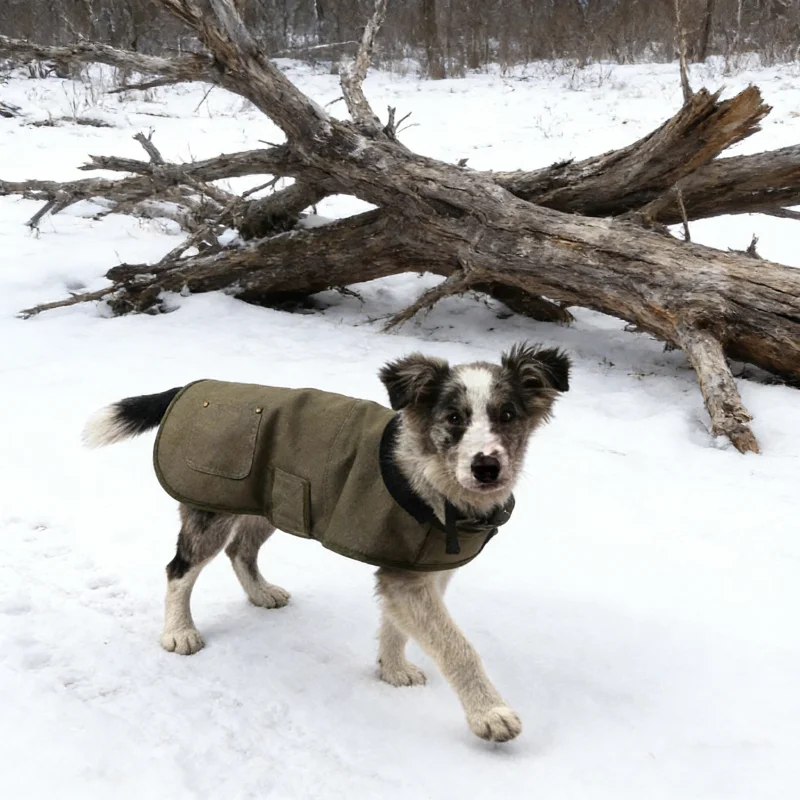 Windproof Pet Dog Winter Warm Cotton Coat Jacket Durable Cold Resistant Puppy Small Medium Large Dog Winter Clothes Pet Apparel
Windproof Pet Dog Winter Warm Cotton Coat Jacket Durable Cold Resistant Puppy Small Medium Large Dog Winter Clothes Pet Apparel