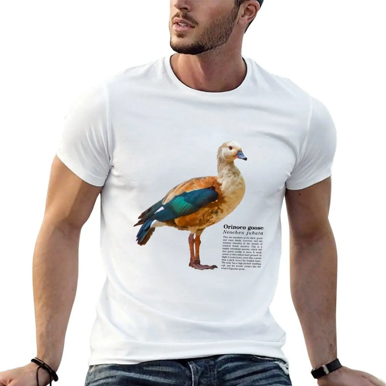 Orinoco goose bird on fresh grass T-Shirt t shirt man plain t shirt personalised funny t shirts dark humor T-shirt
Orinoco goose bird on fresh grass T-Shirt t shirt man plain t shirt personalised funny t shirts dark humor T-shirt