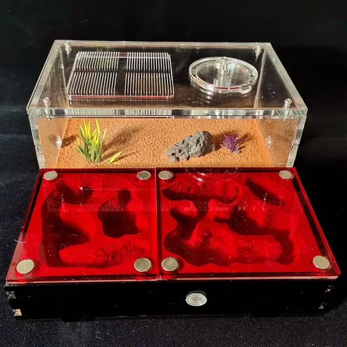 Expandable Ant Nest and Castle Gypsum Feeding & Cultivation Observation Box for Pet Ants
Expandable Ant Nest and Castle Gypsum Feeding & Cultivation Observation Box for Pet Ants