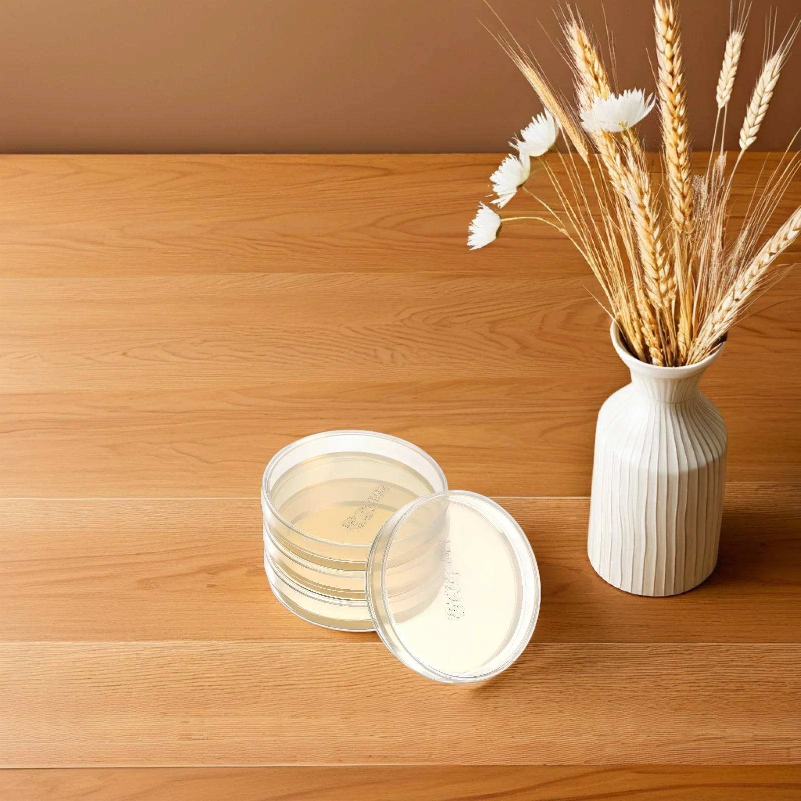 10 Pcs Nutrient Agar Plate Petri Dishes Individual Prepared Plates Pre-poured Accessories Media
10 Pcs Nutrient Agar Plate Petri Dishes Individual Prepared Plates Pre-poured Accessories Media