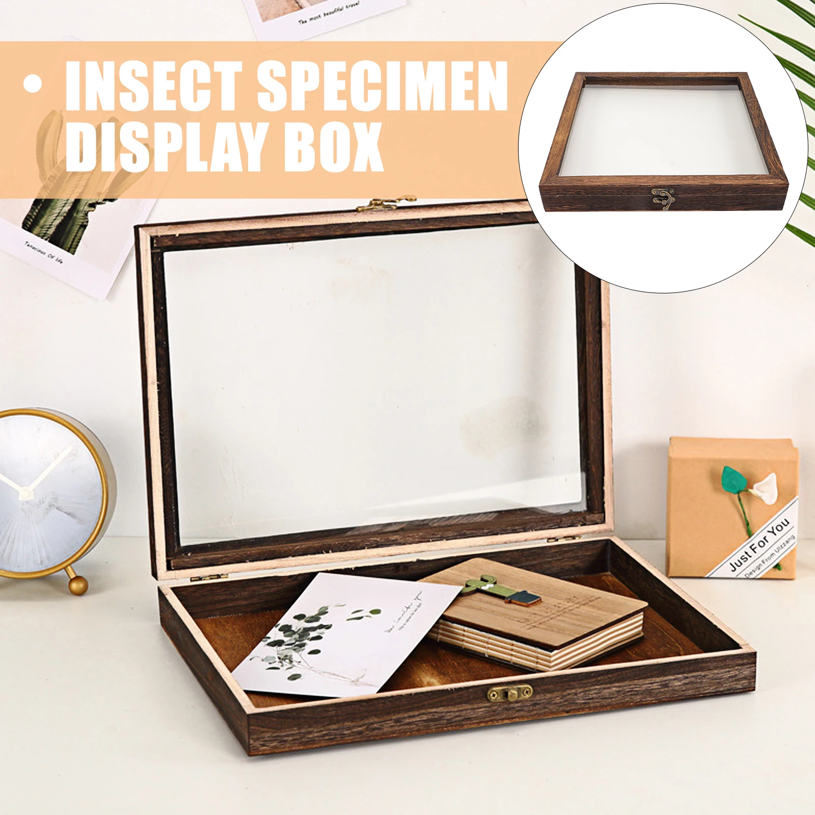Butterfly Specimen Display Box 30x30x4.5 Retro Wood Insect Case Clear Glass Cover Storage Jewelry Coin Craft Home Decor
Butterfly Specimen Display Box 30x30x4.5 Retro Wood Insect Case Clear Glass Cover Storage Jewelry Coin Craft Home Decor