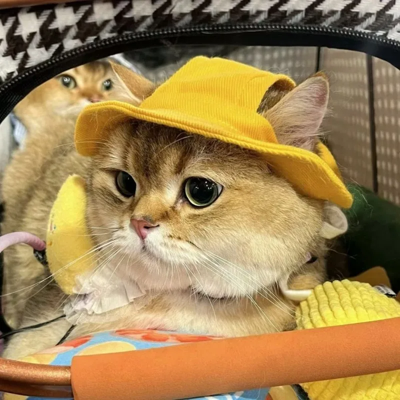 Solid Color Pet Summer Hat Sun Block Outdoor Camping Soft Adjustable Cotton Fisherman Hat for Cats Dogs S M L 1PC MOQ
Solid Color Pet Summer Hat Sun Block Outdoor Camping Soft Adjustable Cotton Fisherman Hat for Cats Dogs S M L 1PC MOQ