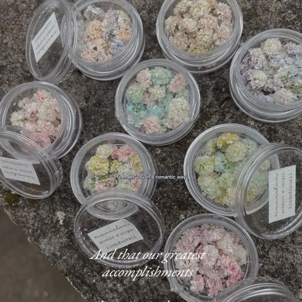 3D Ball-Flower Floral Mixed Mixed Color Dried Flowers Nail Art Decor Nail Decals Nail Art Stickers Manicure Decoration
3D Ball-Flower Floral Mixed Mixed Color Dried Flowers Nail Art Decor Nail Decals Nail Art Stickers Manicure Decoration
