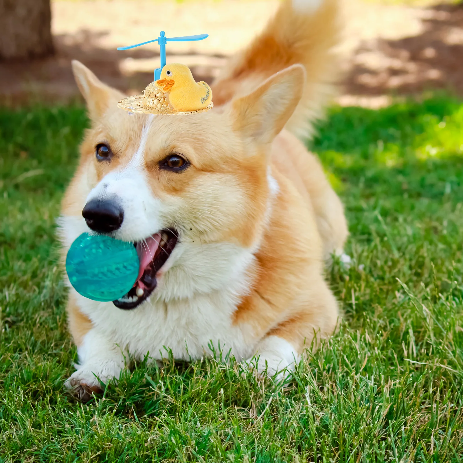 Straw Hat For Dogs Sun Protection Breathable Woven Cap Crown Pattern Xs Random Style Pet Supplies Photo Props Party Gift Outdoor
Straw Hat For Dogs Sun Protection Breathable Woven Cap Crown Pattern Xs Random Style Pet Supplies Photo Props Party Gift Outdoor