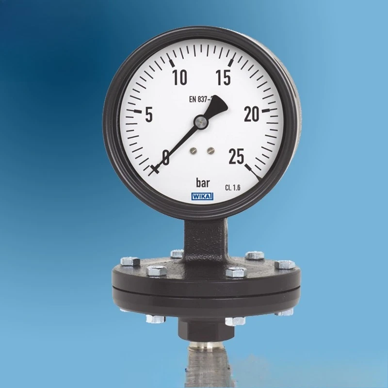 Parts for WIKA pressure gauge 422.12.100 + 821.11 electric contact pressure gauge en837-3
Parts for WIKA pressure gauge 422.12.100 + 821.11 electric contact pressure gauge en837-3