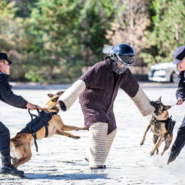 Factory Supply Training Protection Full Body Pet Dog Training Clothes
Factory Supply Training Protection Full Body Pet Dog Training Clothes