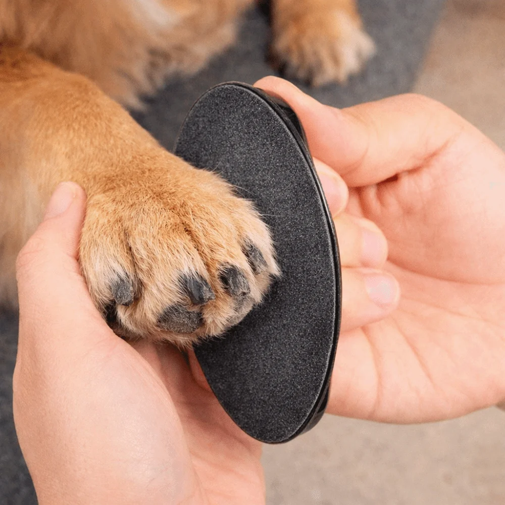 Replaceable Sandpaper Dog Nail File Board Wear Resistant Portable Pet Scratch Pad Efficient Puppy Nail File for Cats and Dogs
Replaceable Sandpaper Dog Nail File Board Wear Resistant Portable Pet Scratch Pad Efficient Puppy Nail File for Cats and Dogs