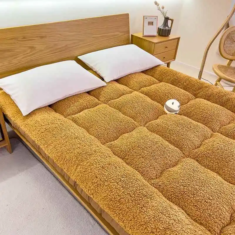 Thickened Lamb Velvet Mattress Soft Pad Winter Tatami Sponge Mat Student Dormitory Single Person Fleece Dormitory Bedding
Thickened Lamb Velvet Mattress Soft Pad Winter Tatami Sponge Mat Student Dormitory Single Person Fleece Dormitory Bedding