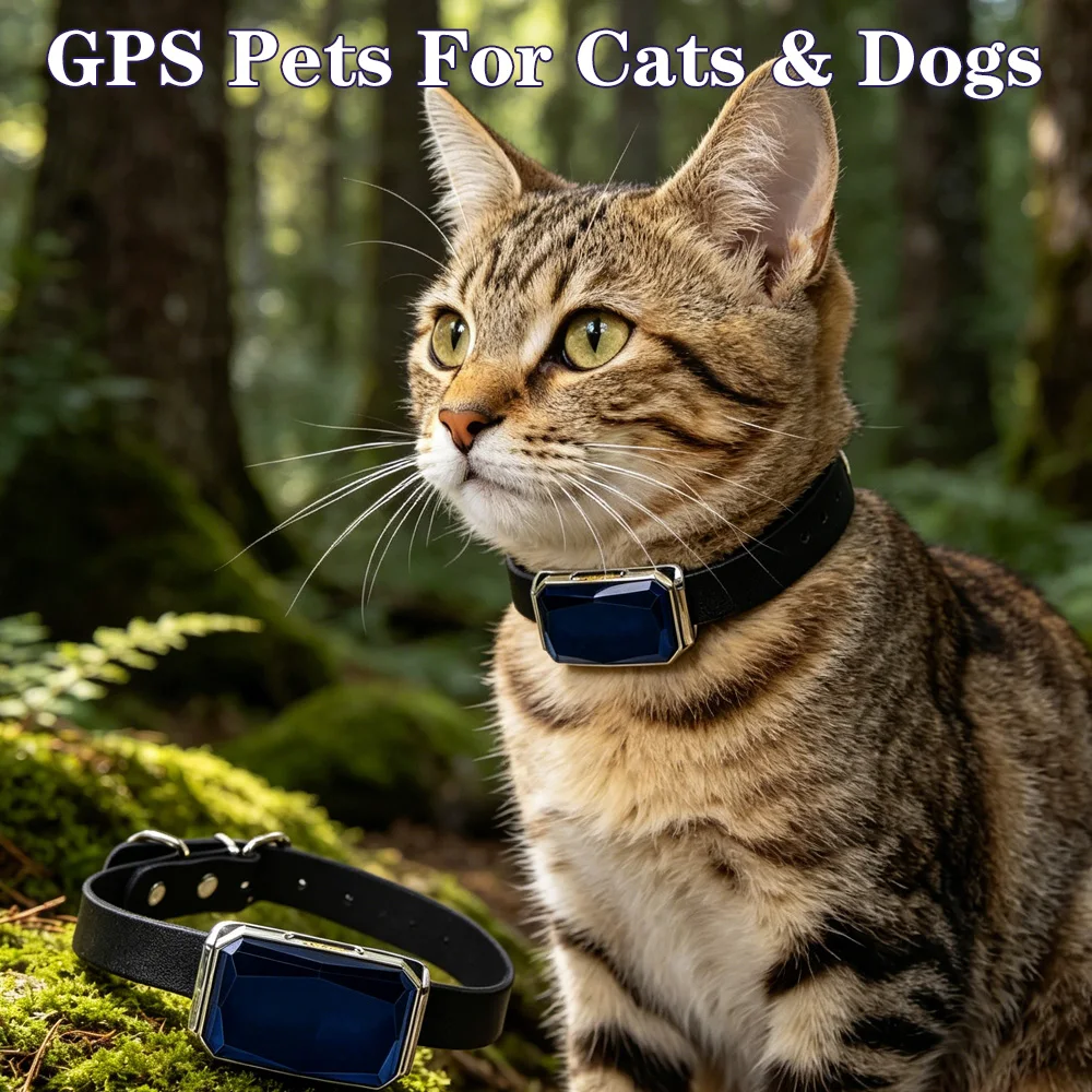 Pets Wifi GPS Tracker Dog Mini Tracking Movement Alert Collars Anti Lost Tracker for Cats and Puppies Remote Global Locator
Pets Wifi GPS Tracker Dog Mini Tracking Movement Alert Collars Anti Lost Tracker for Cats and Puppies Remote Global Locator