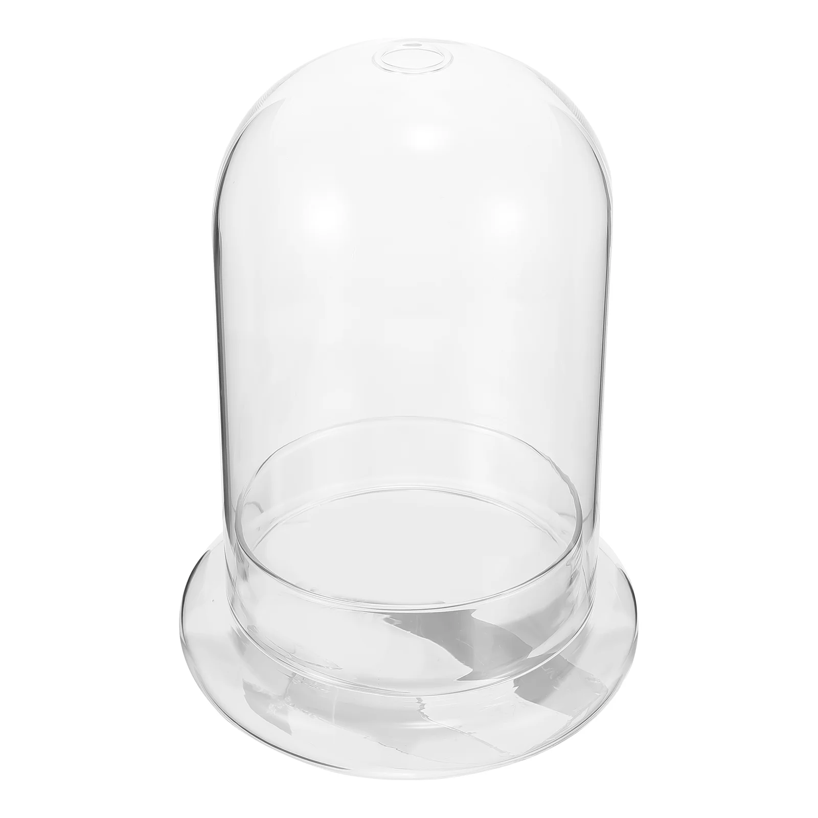 Moss Eco Bottle Micro Landscape Accessory Clear Glass Dome Vases Home Decor Ecological Bottle Transparent Bottle Display Cloche
Moss Eco Bottle Micro Landscape Accessory Clear Glass Dome Vases Home Decor Ecological Bottle Transparent Bottle Display Cloche