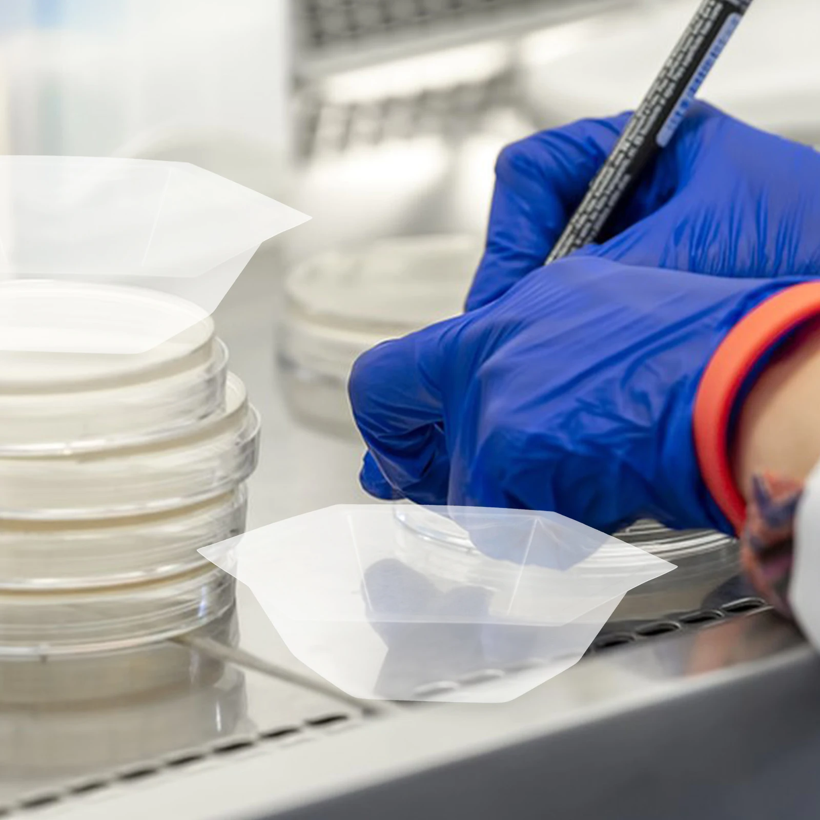 10pcs Weighing Traysmultifunctional Measuring Weigh Boats High Accuracy Laboratory Equipment Sample Storage Tray Cooking
10pcs Weighing Traysmultifunctional Measuring Weigh Boats High Accuracy Laboratory Equipment Sample Storage Tray Cooking