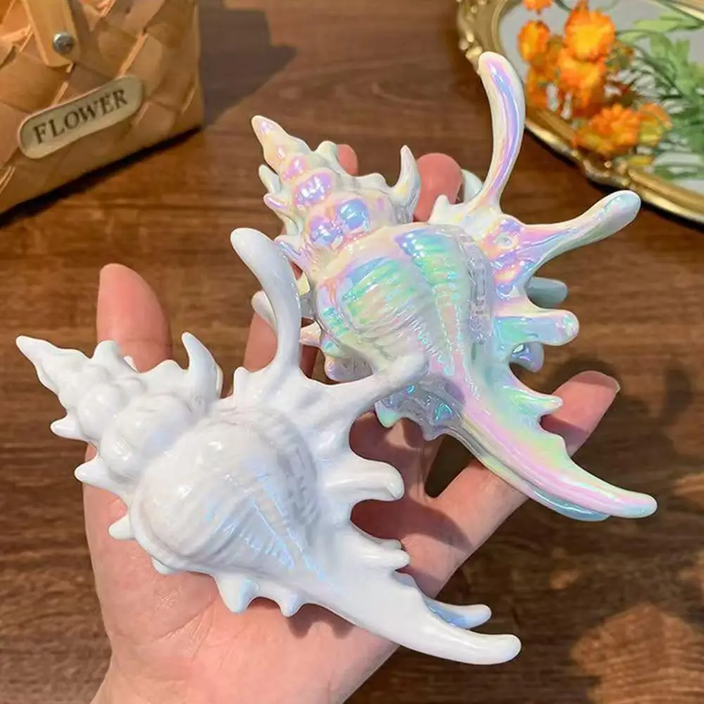 3D Conch Seashell Hair Claw Clip Acrylic Ocean Mermaid Hair Accessories Strong Hold Hair Claw Beach Party Daily Wear Cute Gift
3D Conch Seashell Hair Claw Clip Acrylic Ocean Mermaid Hair Accessories Strong Hold Hair Claw Beach Party Daily Wear Cute Gift
