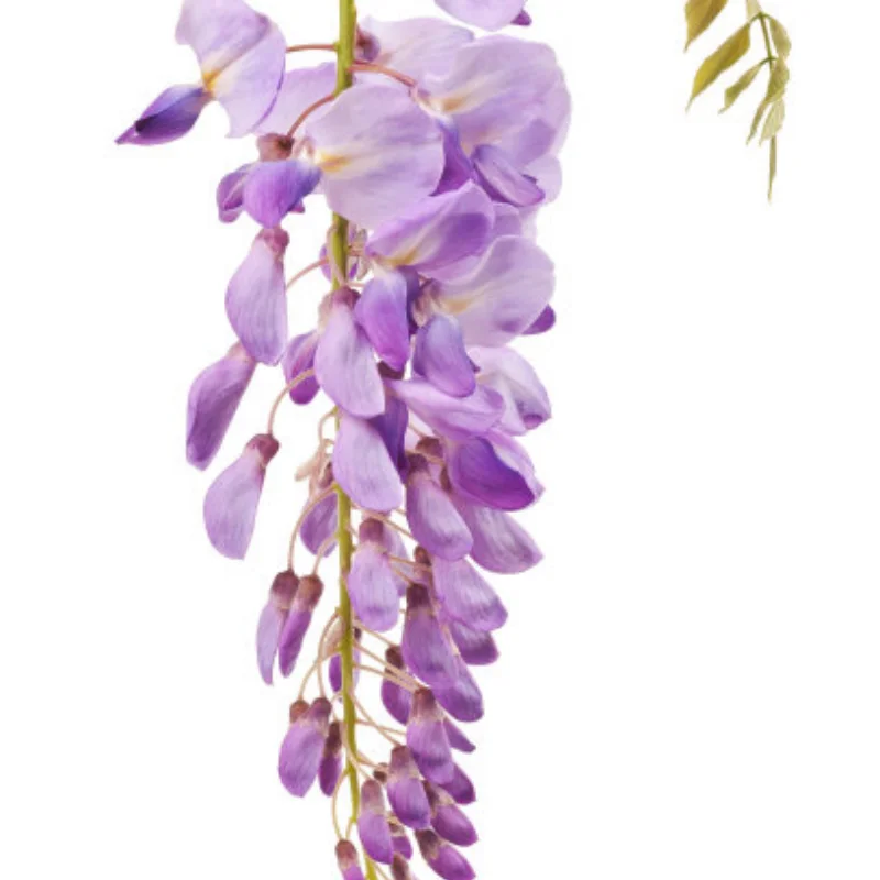 8pcs/lot Aluminum Alloy Link Rod Unassembled Kit 313MM Wheelbase for 1/10 RC Car Crawler Axial SCX10
8pcs/lot Aluminum Alloy Link Rod Unassembled Kit 313MM Wheelbase for 1/10 RC Car Crawler Axial SCX10