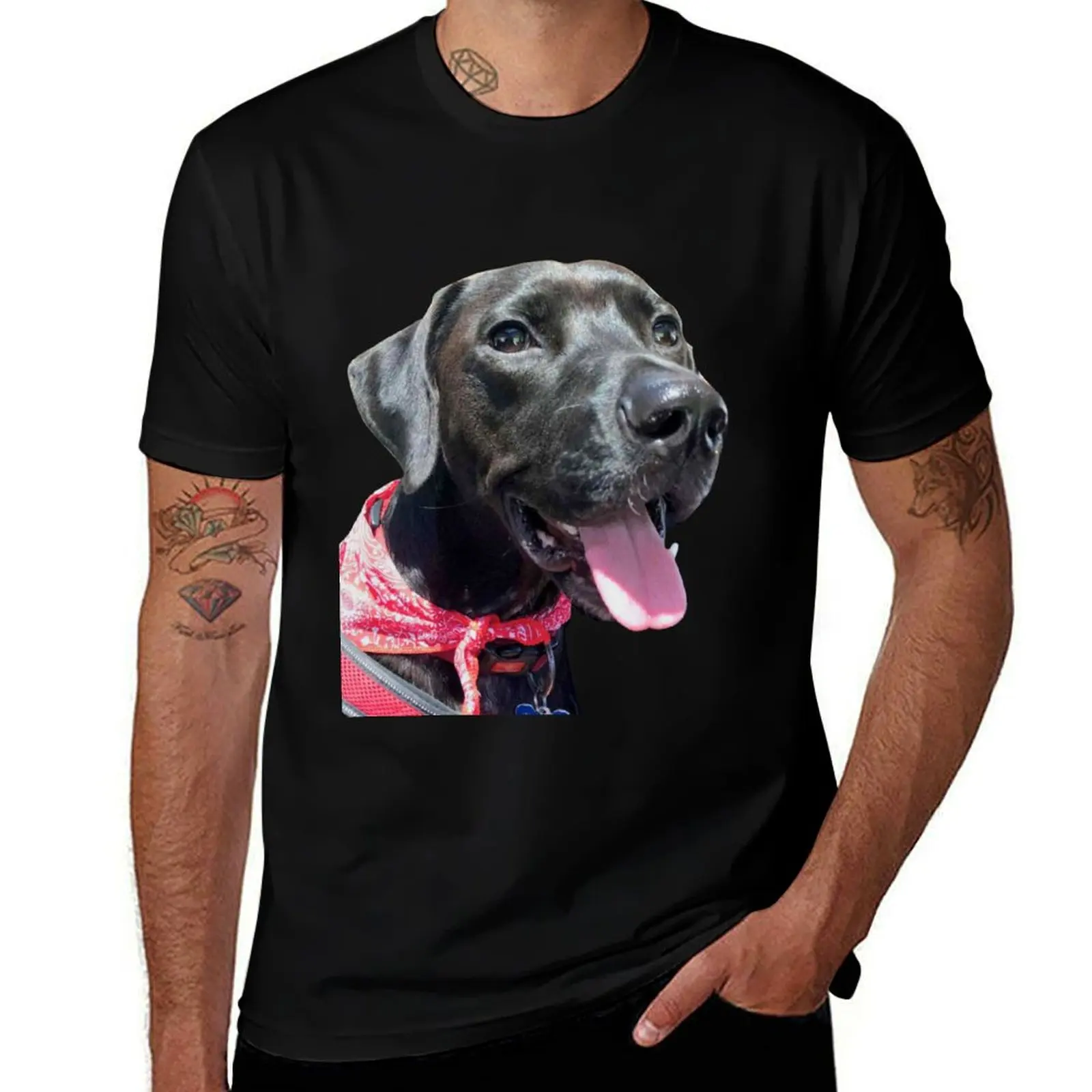 Jasper t for dog cotton shirt funny shirt shirts man the cotton t luxury quality T-Shirt high man t man
Jasper t for dog cotton shirt funny shirt shirts man the cotton t luxury quality T-Shirt high man t man