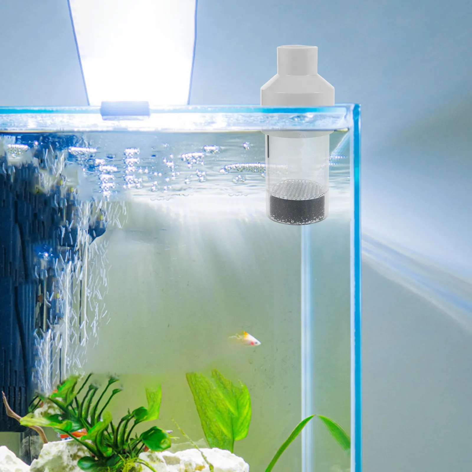 Aquarium Fish Egg Incubator 50Mm Cichlids Breeder Hatchery For Lake Victoria Breeding Tool Fish Hatchery Tank
Aquarium Fish Egg Incubator 50Mm Cichlids Breeder Hatchery For Lake Victoria Breeding Tool Fish Hatchery Tank