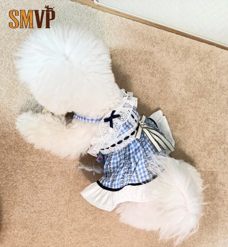 Pet Plaid Lace Sundress Breathable Lightweight Fabric with Sweet Bow Lace Details Stylish Princess Outfit for Puppies Kittens
Pet Plaid Lace Sundress Breathable Lightweight Fabric with Sweet Bow Lace Details Stylish Princess Outfit for Puppies Kittens