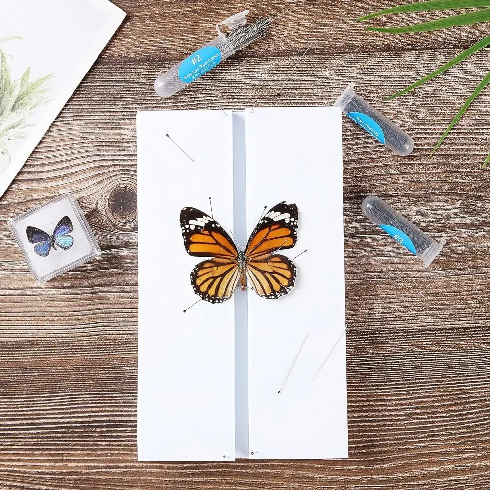 Usable EVA Foam Insect Pinning Board White Combined Plates Pose Insects Boards Butterfly Spreading Wings
Usable EVA Foam Insect Pinning Board White Combined Plates Pose Insects Boards Butterfly Spreading Wings