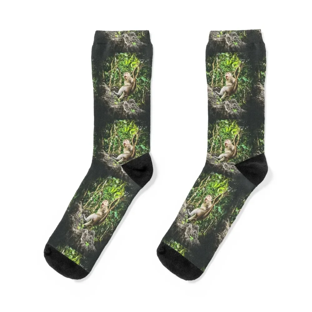 Jungle Monkey Ubud Socks valentine gift ideas christmas gifts cartoon Men's Socks Women's
Jungle Monkey Ubud Socks valentine gift ideas christmas gifts cartoon Men's Socks Women's