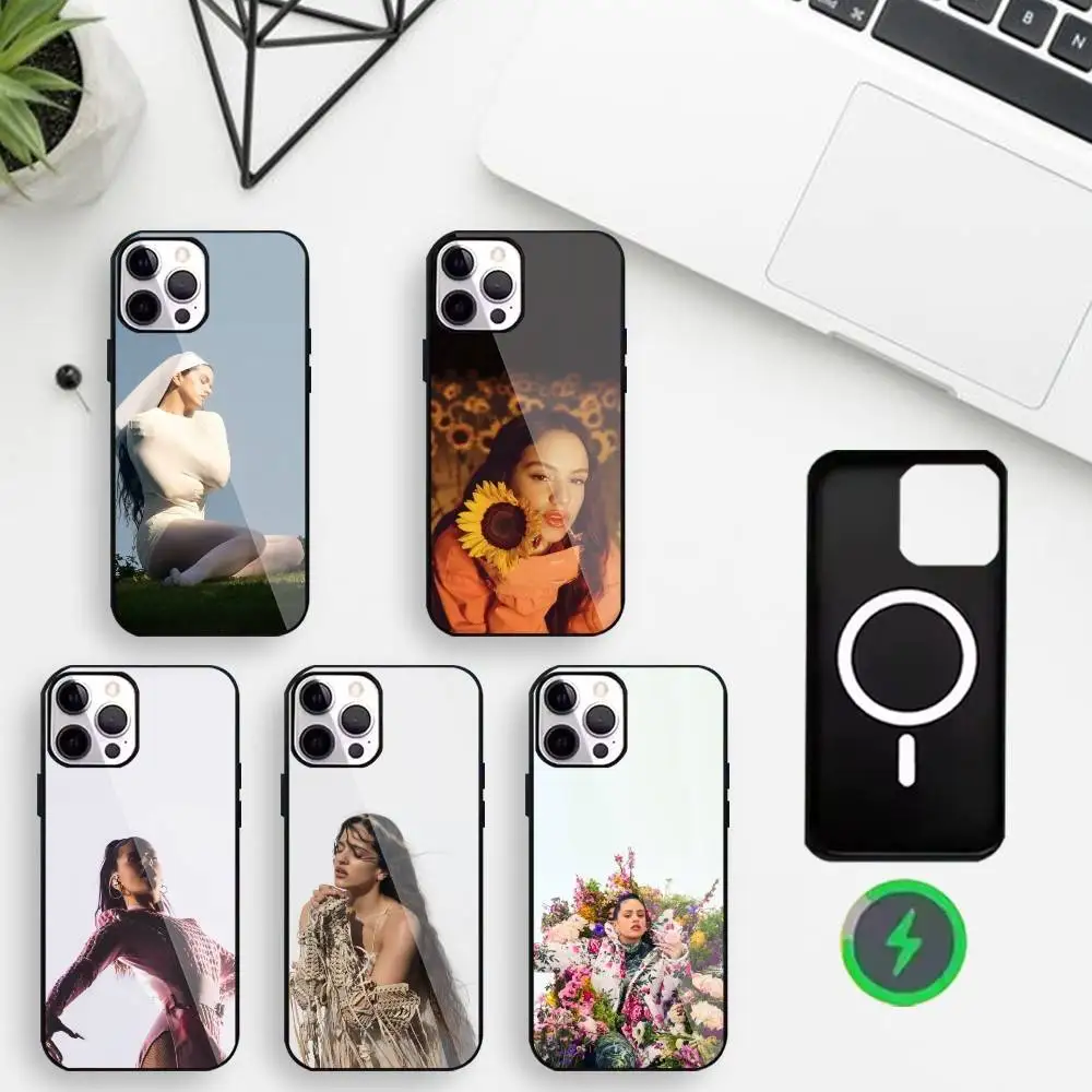 R-Rosalia Phone Case For iPhone17,16,15,14,13,12,11 Plus,For Magnetic Wireless Charge Cover
R-Rosalia Phone Case For iPhone17,16,15,14,13,12,11 Plus,For Magnetic Wireless Charge Cover