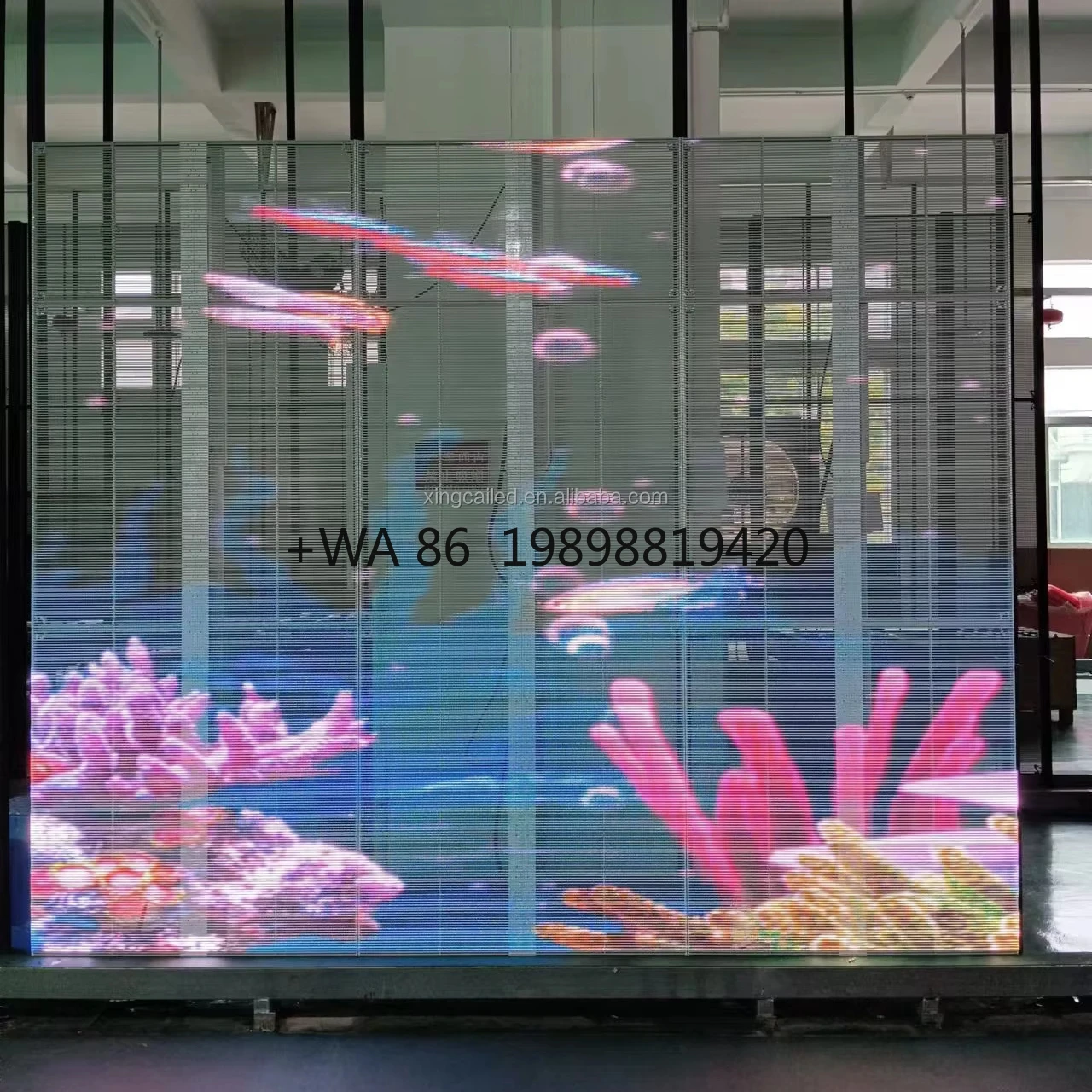 Indoor HD P3.91-7.81 Transparent LED Video Wall Fixed Behind Store Glass for Advertising
Indoor HD P3.91-7.81 Transparent LED Video Wall Fixed Behind Store Glass for Advertising