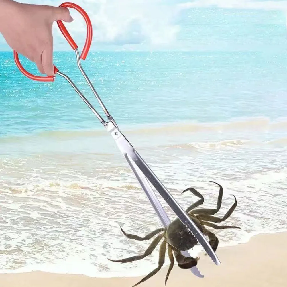 Crab Tongs Loach Clip Eel Tong Non Slip Metal Seafood Plier Tool for Catching Crabs Shrimps Eels Reusable Practical Kitchen Bar 
Crab Tongs Loach Clip Eel Tong Non Slip Metal Seafood Plier Tool for Catching Crabs Shrimps Eels Reusable Practical Kitchen Bar