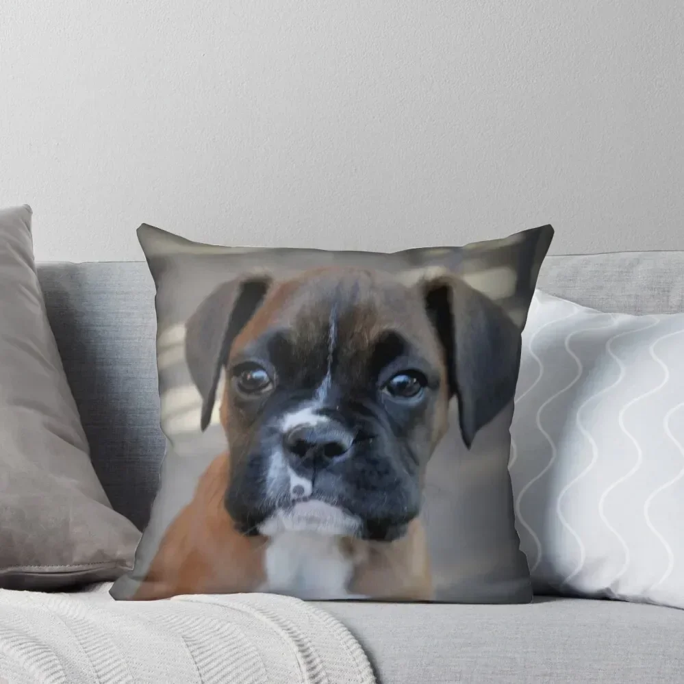 Dino's Portrait ~ Boxer Dog Series Throw Pillow Cushion Covers For Living Room Pillow Cover pillow
Dino's Portrait ~ Boxer Dog Series Throw Pillow Cushion Covers For Living Room Pillow Cover pillow