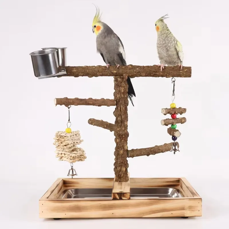Luxury Eco-Friendly Solid Wood Parrot Perch Stand Bird Toy Training Supplies Interactive Playground for Birds
Luxury Eco-Friendly Solid Wood Parrot Perch Stand Bird Toy Training Supplies Interactive Playground for Birds