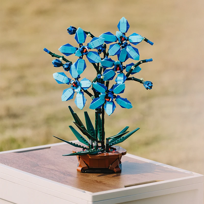 A gift given to oneself as a decoration for a potted living orchid bedroom with building blocks
A gift given to oneself as a decoration for a potted living orchid bedroom with building blocks