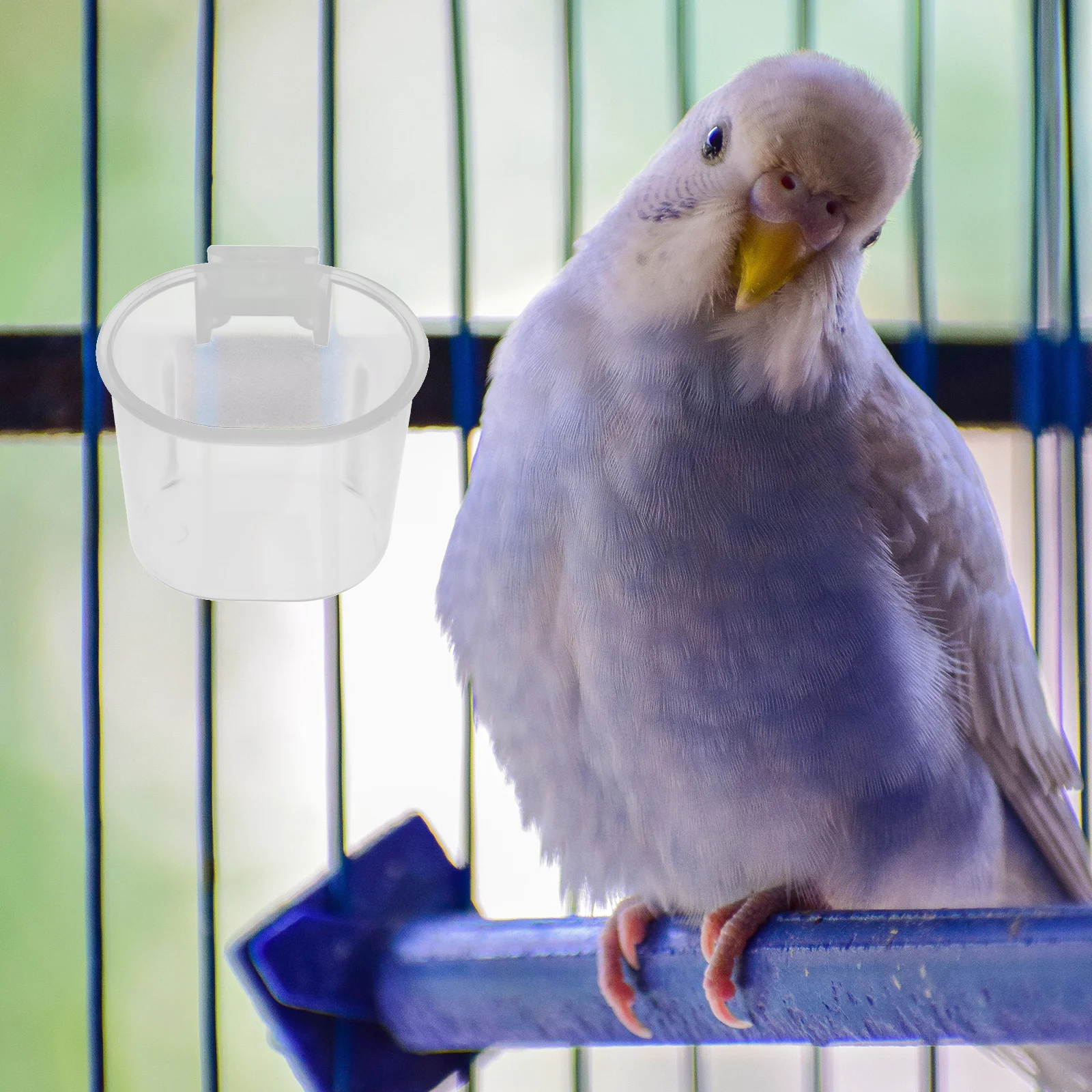 10pcs Parrot Feeder Durable Plastic Bird Food Bowl Water Dispenser Cage Accessories Pet Supplies Indoor Bird Feeder
10pcs Parrot Feeder Durable Plastic Bird Food Bowl Water Dispenser Cage Accessories Pet Supplies Indoor Bird Feeder
