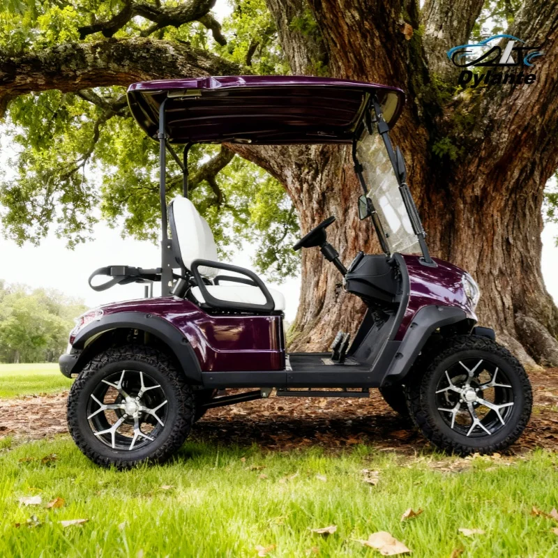 VIP Honoured Guest New Product Luxury 2-Seater Big Wheel Club New Energy Electric Golf Cart Handcart Hunting Cart Rapid Delivery
VIP Honoured Guest New Product Luxury 2-Seater Big Wheel Club New Energy Electric Golf Cart Handcart Hunting Cart Rapid Delivery