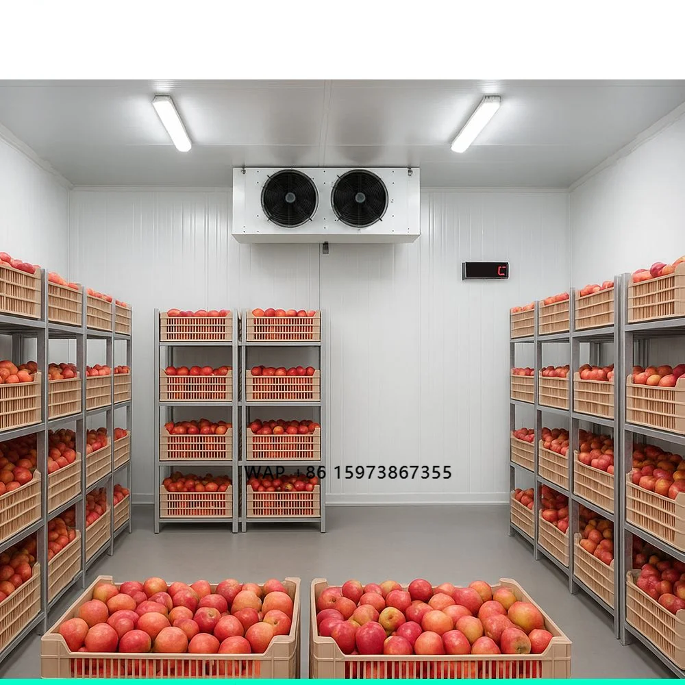 Medium-Scale Freezer Refrigerators Fresh-Keeper Chiller Room Fruit Juices Medical Food Storage Warehouses Cold Room Storage
Medium-Scale Freezer Refrigerators Fresh-Keeper Chiller Room Fruit Juices Medical Food Storage Warehouses Cold Room Storage