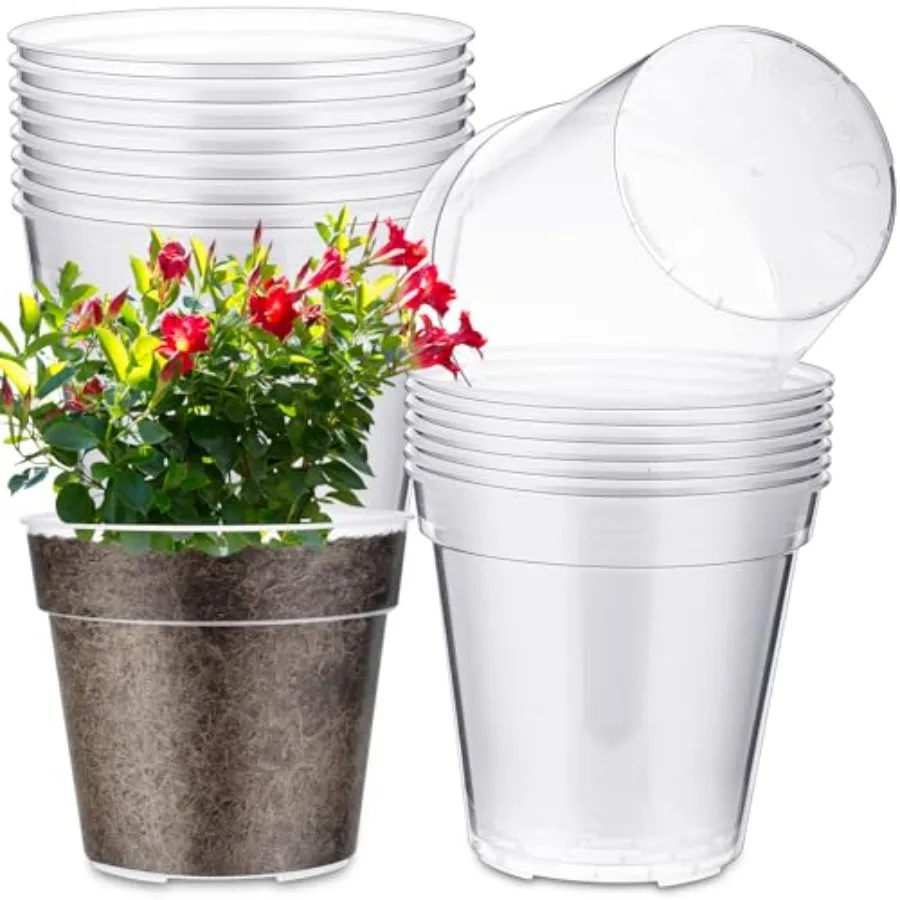 Nursery application, transparent plastic, clear, heavy-duty with drainage holes for root observation and repotting monstera and
Nursery application, transparent plastic, clear, heavy-duty with drainage holes for root observation and repotting monstera and