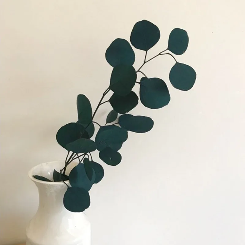 1Set Natural Eucalyptus Leaves Dried Preserved Eucalyptus Leaves Real Plant Green Accessories DIY Party Home Decoration Mariage
1Set Natural Eucalyptus Leaves Dried Preserved Eucalyptus Leaves Real Plant Green Accessories DIY Party Home Decoration Mariage