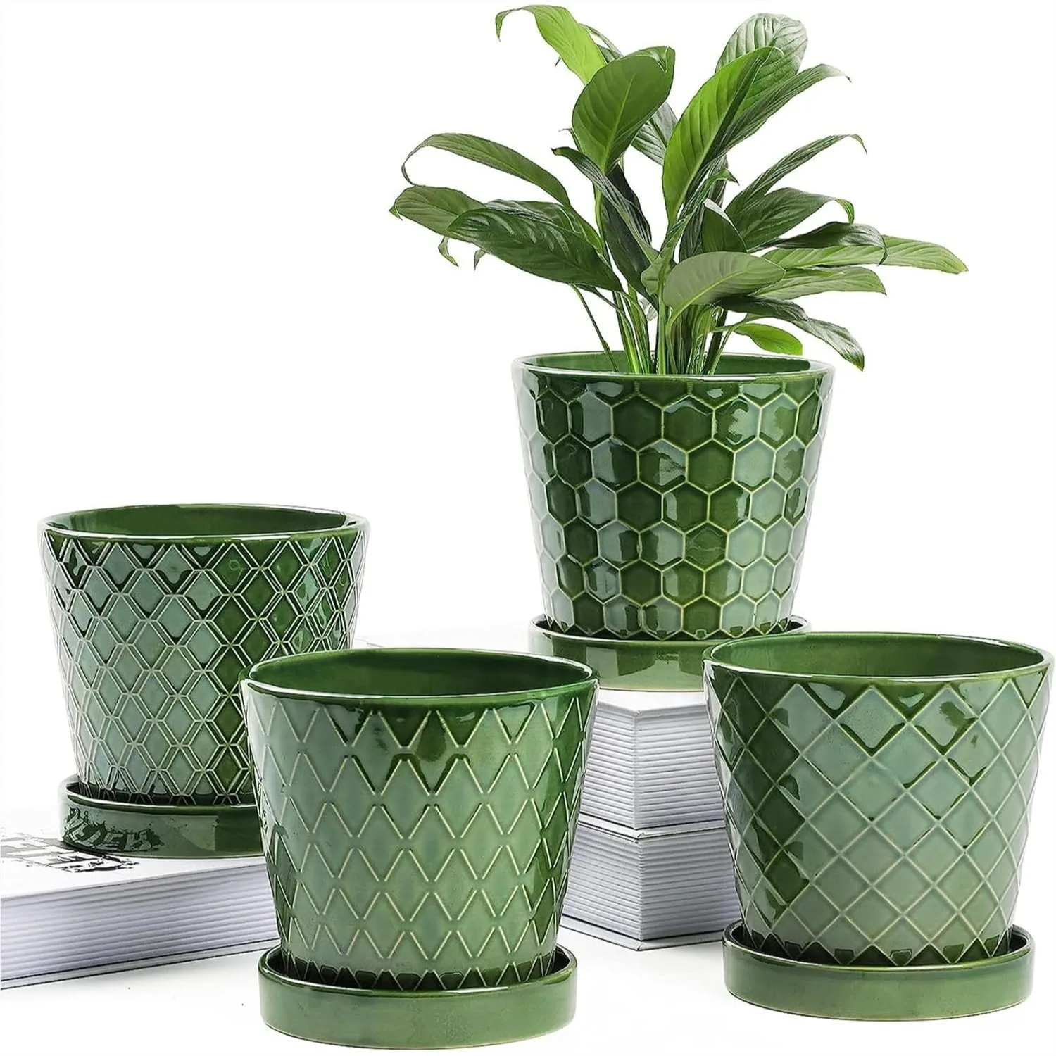 Ceramic Flower Pot 5 Inch Set of 4 with Drainage Hole and Tray, Modern Minimalist Plant Pots Indoor for Small Plants, Desktop
Ceramic Flower Pot 5 Inch Set of 4 with Drainage Hole and Tray, Modern Minimalist Plant Pots Indoor for Small Plants, Desktop