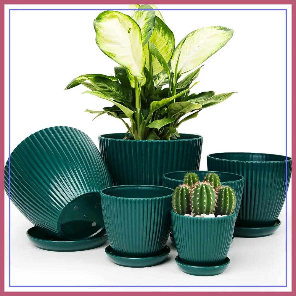 6 Pack Plant Pots with Saucers & Drainage Holes, Plastic Planters for Indoor Plants, Dark Green
6 Pack Plant Pots with Saucers & Drainage Holes, Plastic Planters for Indoor Plants, Dark Green