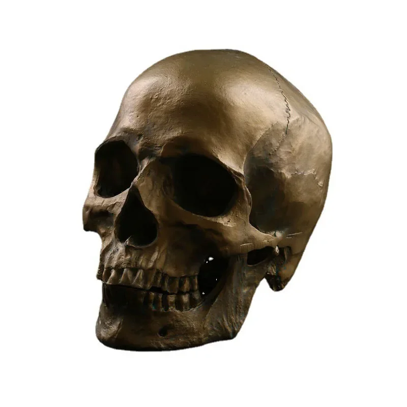 Medical Skull Model Resin Skull Halloween Props Head Home Decoration Antique Copper Skull
Medical Skull Model Resin Skull Halloween Props Head Home Decoration Antique Copper Skull