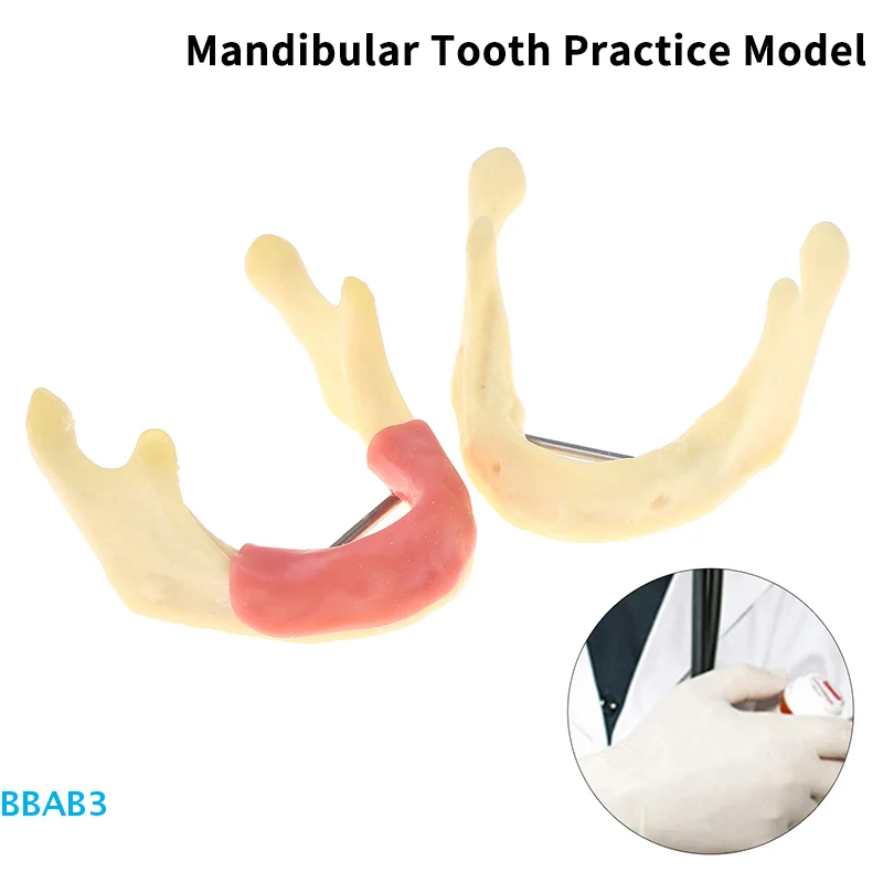 【B】Модель стоматологической лечистки, анатомия десен, десна, модель ткани, модель стоматолога, обучение, демонстрационная модель зубов, стоматологическая лаборатория
【B】Модель стоматологической лечистки, анатомия десен, десна, модель ткани, модель стоматолога, обучение, демонстрационная модель зубов, стоматологическая лаборатория
