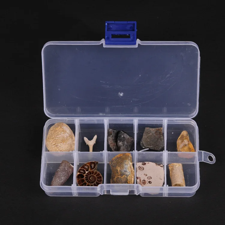 Fossil Specimen Kit with Trilobite Lycoptera Fish Amber Raw Stone for Kids Geology Science Education 10 in 1
Fossil Specimen Kit with Trilobite Lycoptera Fish Amber Raw Stone for Kids Geology Science Education 10 in 1