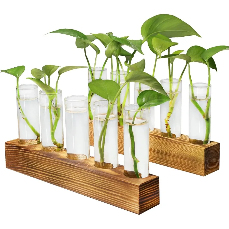 Plant Propagation Station Plant Terrarium with Wooden Stand for Hydroponics Plants Office Dr Unique Gardening Gifts for Women P
Plant Propagation Station Plant Terrarium with Wooden Stand for Hydroponics Plants Office Dr Unique Gardening Gifts for Women P