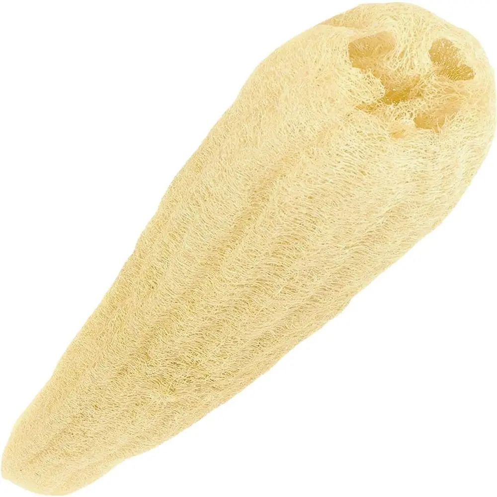 Natural 22 Inch Loofah Sponge for Shower and Body Scrubbing - Suitable for Men and Women
Natural 22 Inch Loofah Sponge for Shower and Body Scrubbing - Suitable for Men and Women