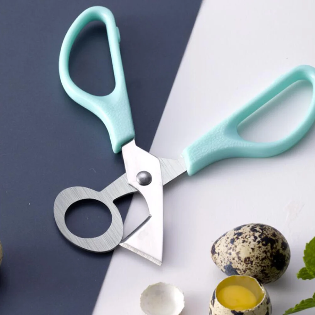 2Pcs Stainless Steel Quail Cutter Tool Blades Peeling Kitchen Scissors for Home Hotel
2Pcs Stainless Steel Quail Cutter Tool Blades Peeling Kitchen Scissors for Home Hotel
