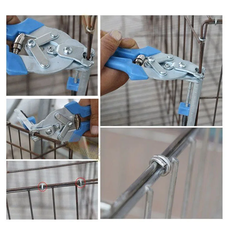 600 Pcs M Nail Cages Installed Chicken Duck Bird Dog Cage Clamp 2.0 Quail Tied Dove Cage Clamp Rabbit Staples Poultry Supplies
600 Pcs M Nail Cages Installed Chicken Duck Bird Dog Cage Clamp 2.0 Quail Tied Dove Cage Clamp Rabbit Staples Poultry Supplies