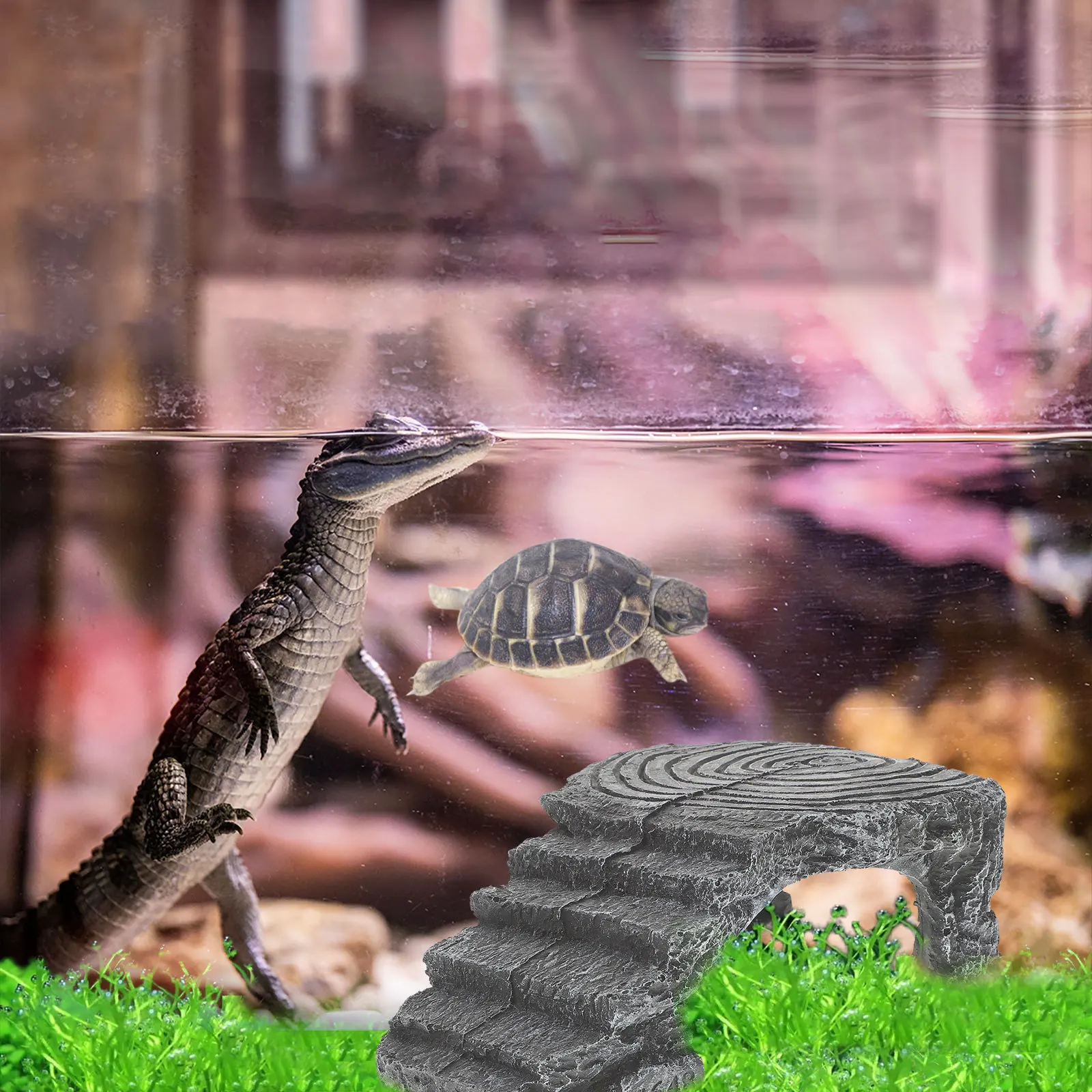 1Pcs Turtle Basking Platform Resin Climbing Resting Terrace for Tortoise Reptile Aquarium Tank Accessory
1Pcs Turtle Basking Platform Resin Climbing Resting Terrace for Tortoise Reptile Aquarium Tank Accessory