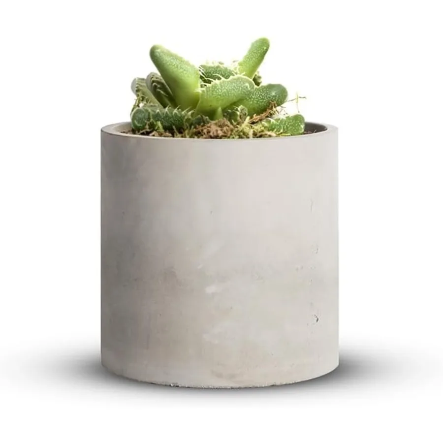 Cement Plant Pots Indoor 4.8 inch 12 CM XXXsmall Concrete Planter Pot for Planting Modern Stone Clay Flower Pot with Drainage H
Cement Plant Pots Indoor 4.8 inch 12 CM XXXsmall Concrete Planter Pot for Planting Modern Stone Clay Flower Pot with Drainage H