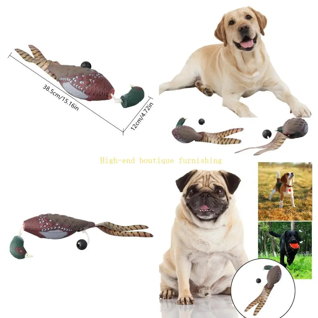 L9NB Interactive Pet Training Toy Fowl for Dog Chasing Outdoor Dogs Trainer
L9NB Interactive Pet Training Toy Fowl for Dog Chasing Outdoor Dogs Trainer