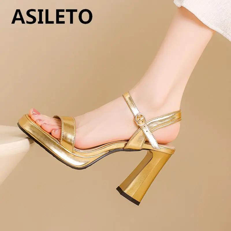 ASILETO Fashion Dating Shoes for Women Square Toe Chunky Heels 9cm Platform 2cm Buckle Strap Sexy Female Sandals 43 44 45 46
ASILETO Fashion Dating Shoes for Women Square Toe Chunky Heels 9cm Platform 2cm Buckle Strap Sexy Female Sandals 43 44 45 46