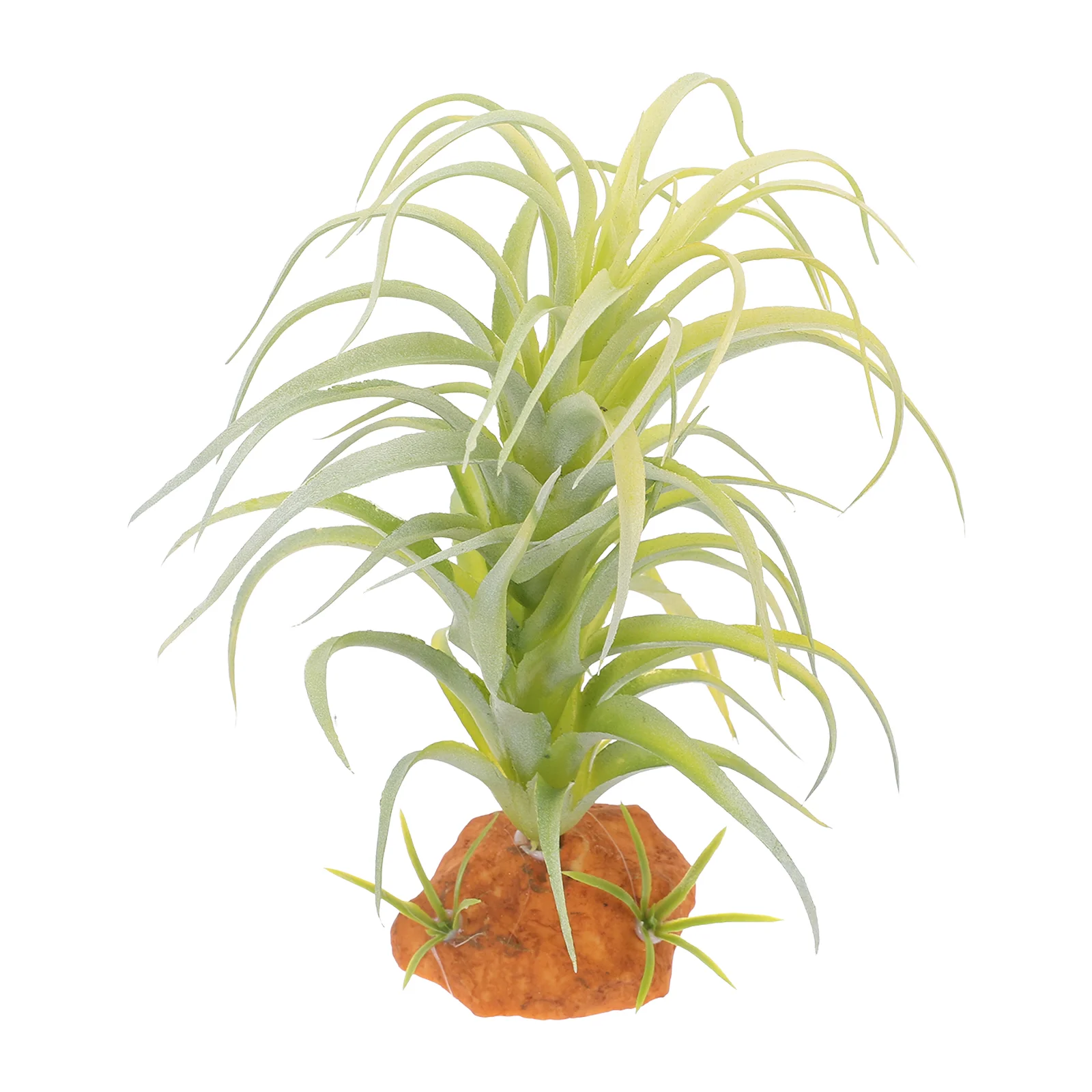 Fake Plants for Reptiles Fish Tank Box Supplies Plastic Landscape Aquarium Landscaping Ornament The Animal
Fake Plants for Reptiles Fish Tank Box Supplies Plastic Landscape Aquarium Landscaping Ornament The Animal
