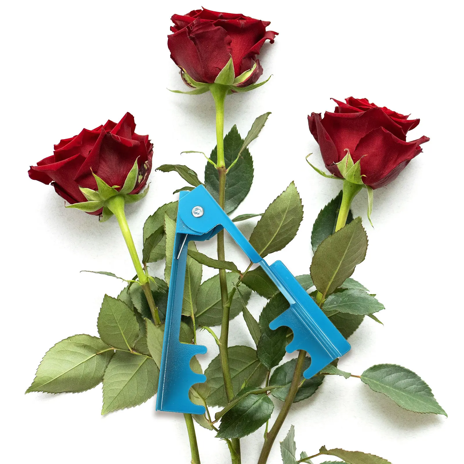 Rose Thorn Remover Compact Garden Tool for Roses and Flowers Safe Precise Burr Removal Easy Flower Arranging Thorn Stem Leaf
Rose Thorn Remover Compact Garden Tool for Roses and Flowers Safe Precise Burr Removal Easy Flower Arranging Thorn Stem Leaf