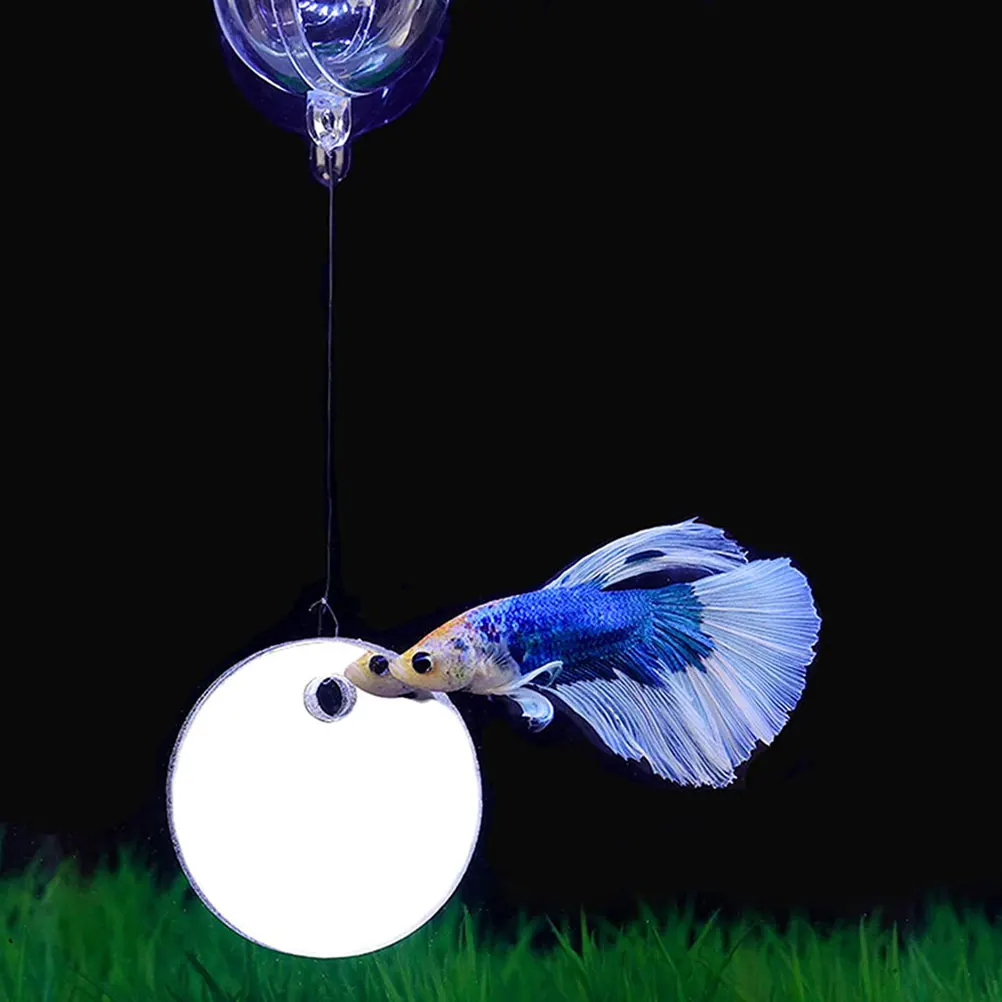 2 Sets Fish Tank Mirror Aquarium Decoration Betta Training Round Exercise Decorate Mirrors Floating for
2 Sets Fish Tank Mirror Aquarium Decoration Betta Training Round Exercise Decorate Mirrors Floating for