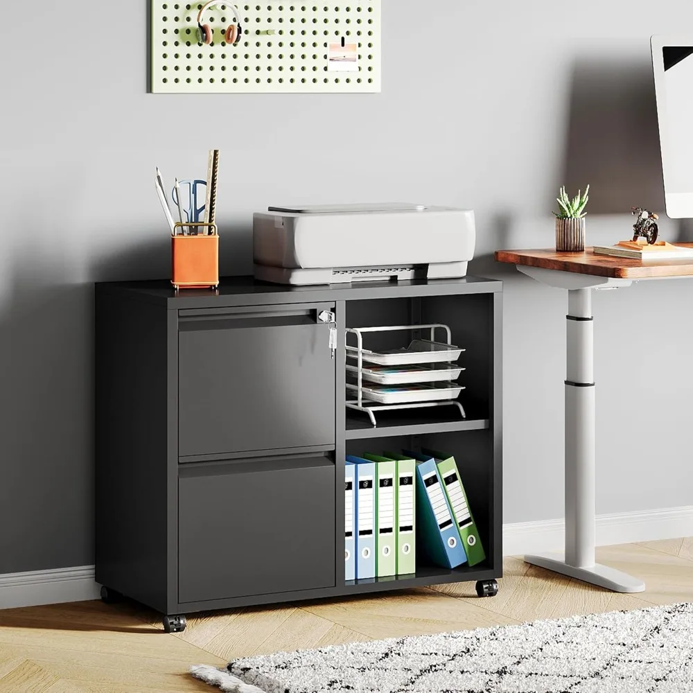 Lateral File Cabinet with 2 Drawers, Mobile Metal Filing Cabinet with Lock for Home Office Storage, Printer Stand
Lateral File Cabinet with 2 Drawers, Mobile Metal Filing Cabinet with Lock for Home Office Storage, Printer Stand